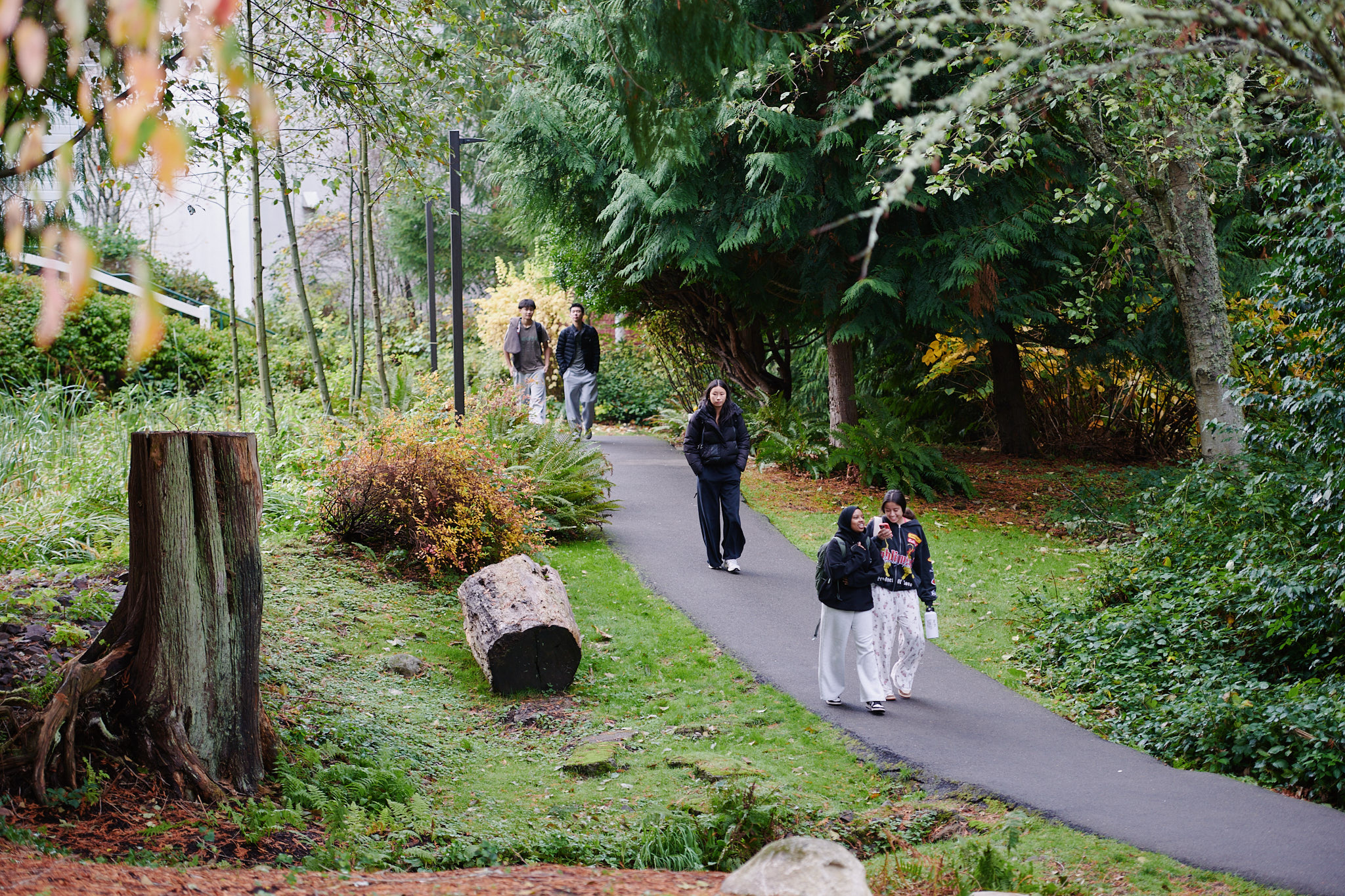 students walking along path