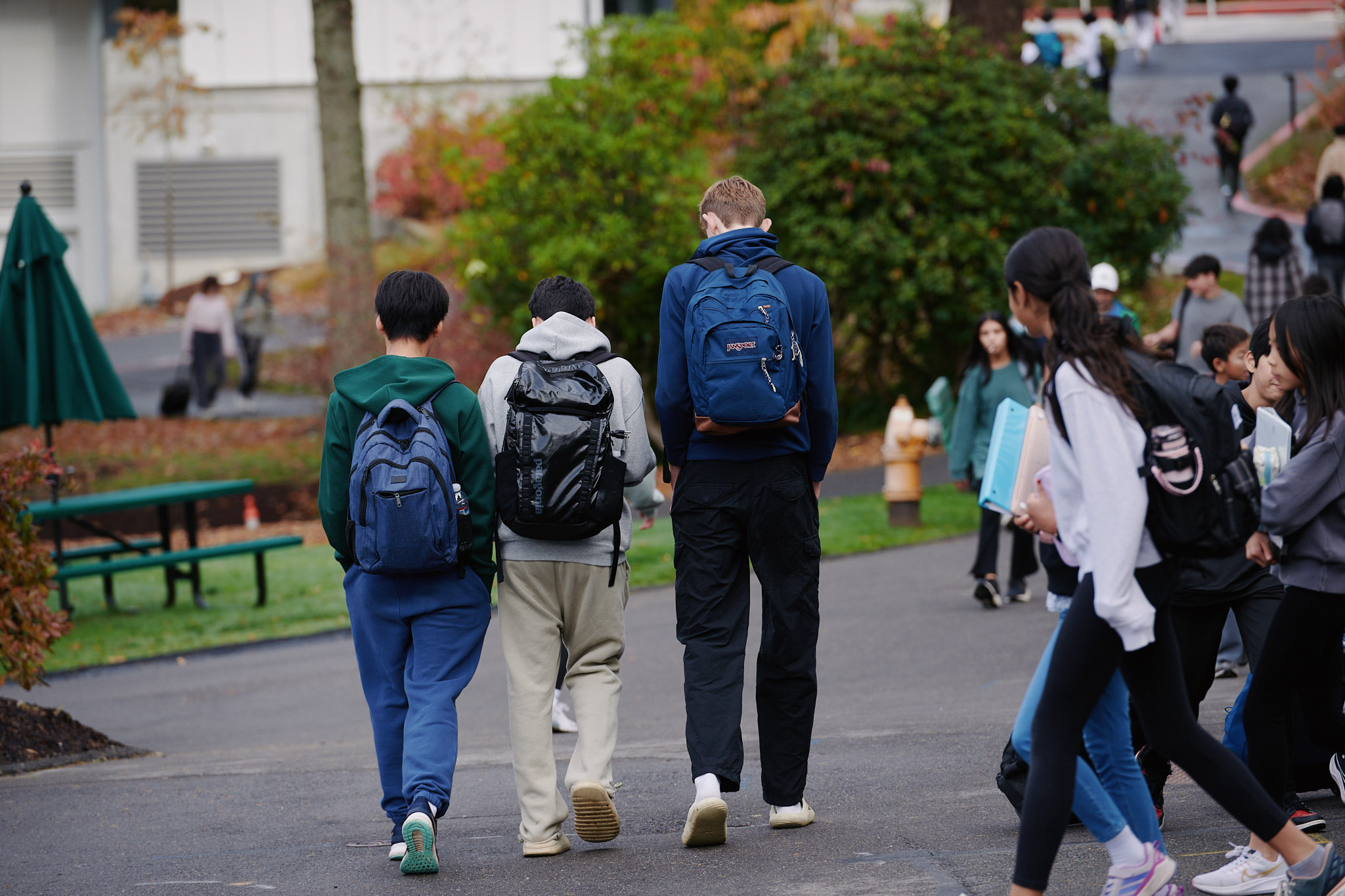 students walking along paths