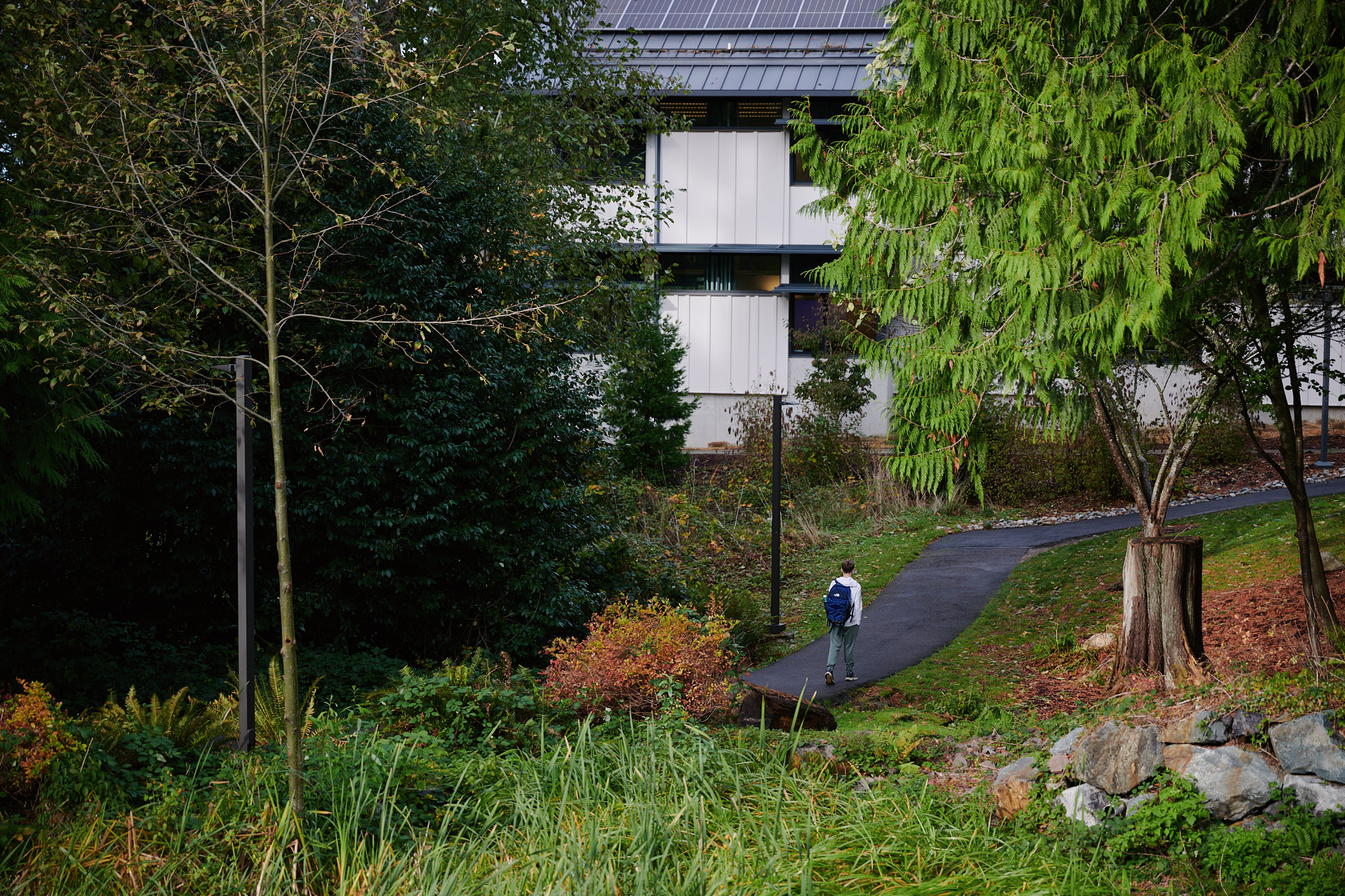outdoor scenery of student on pathway