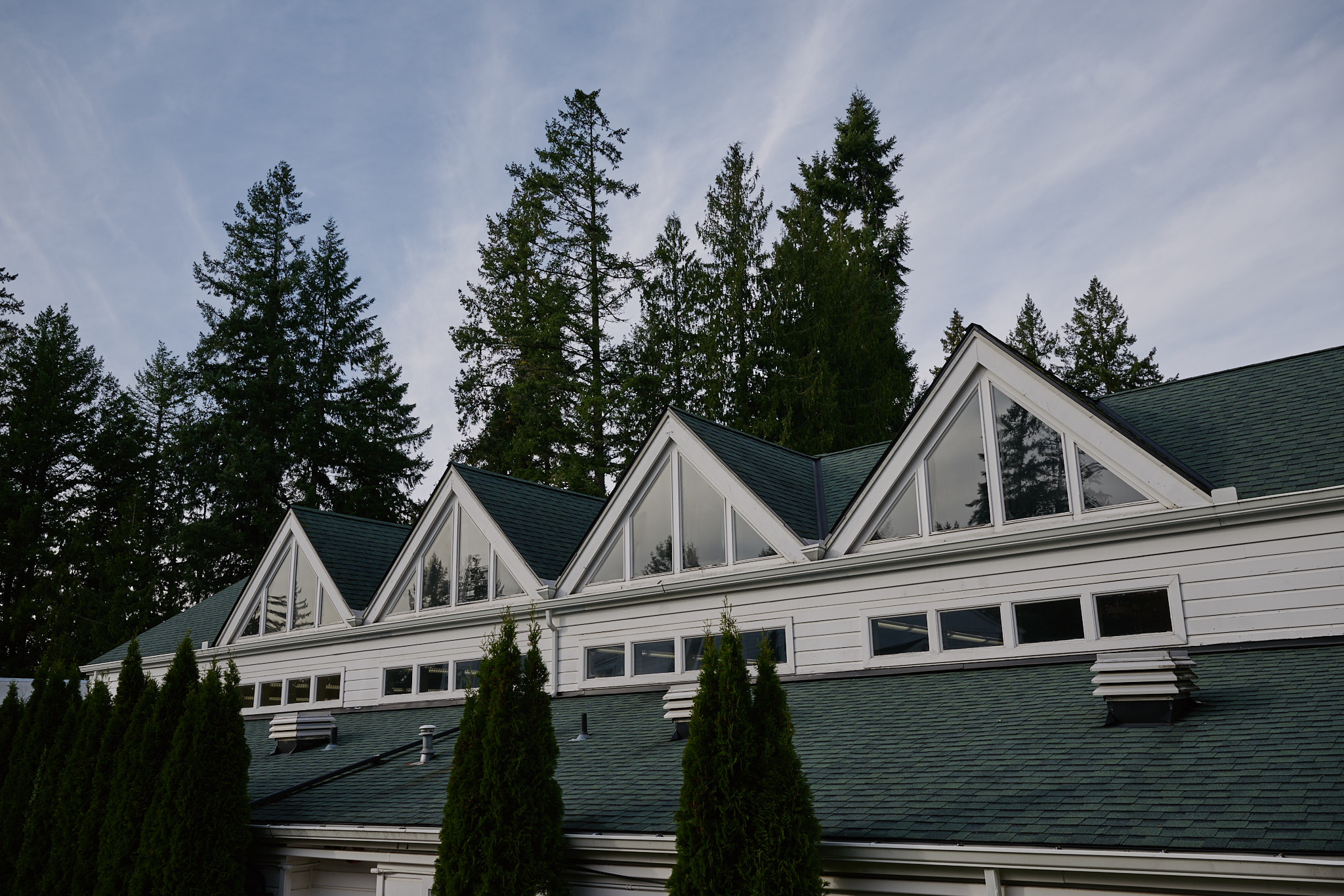 close up of peaks of library roof