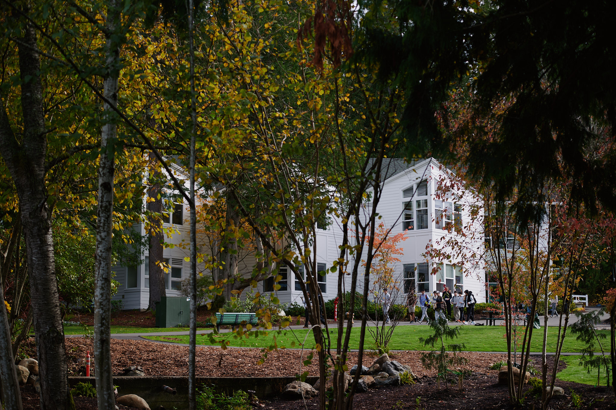 scenery of 5th/6th Building