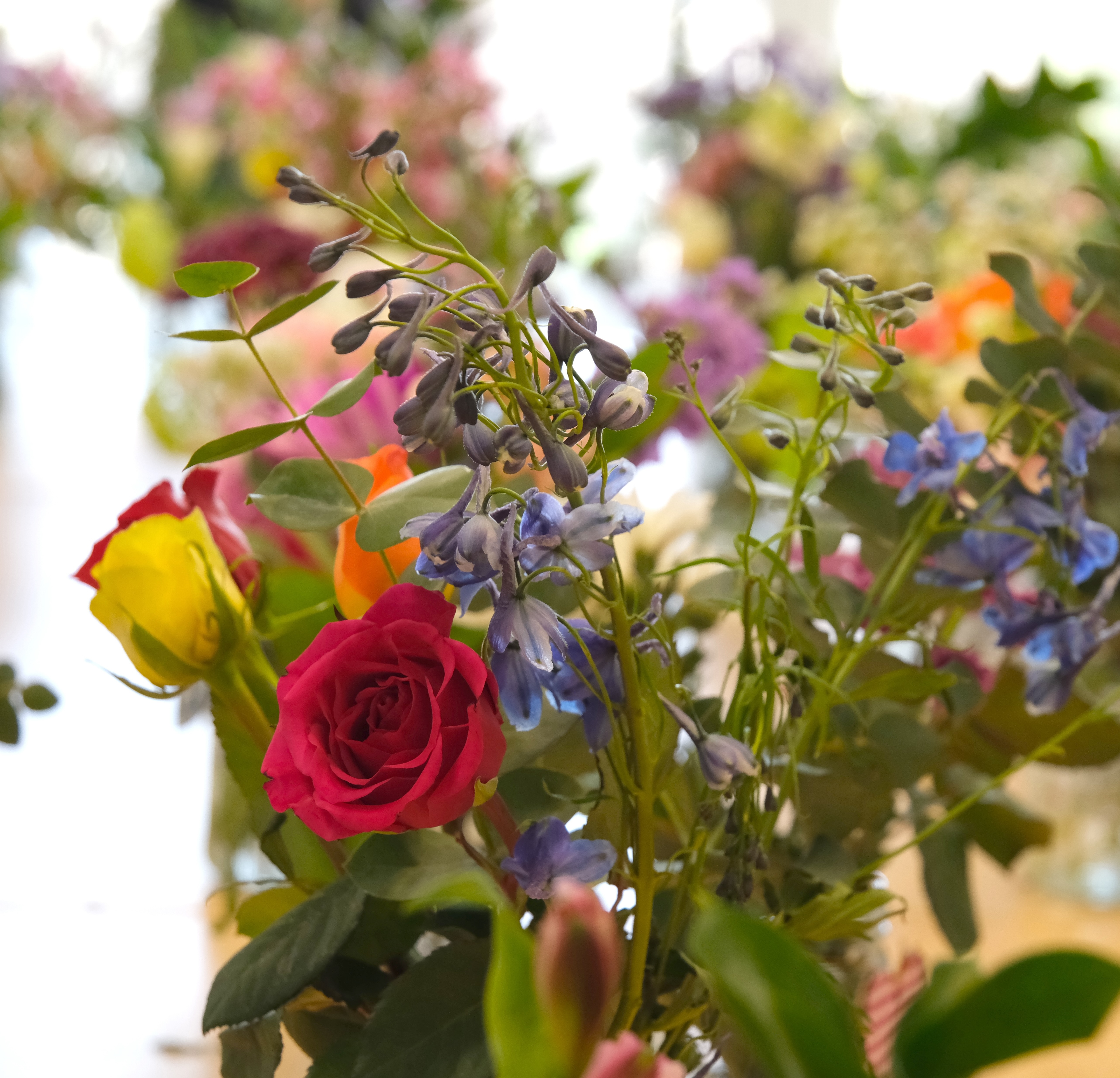 Flowers3