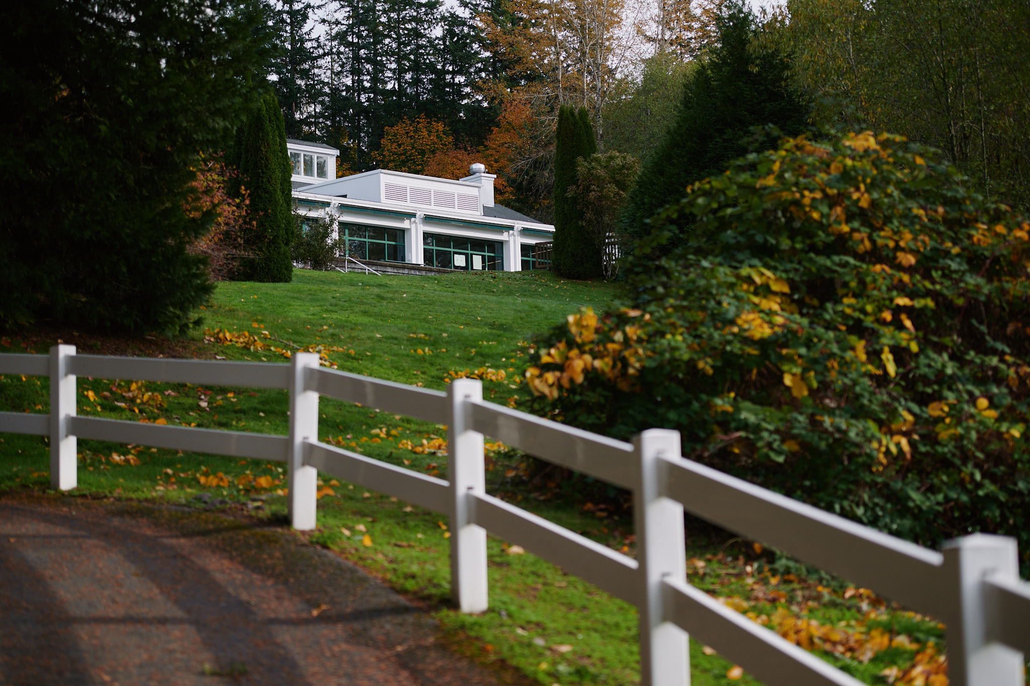 fall at overlake