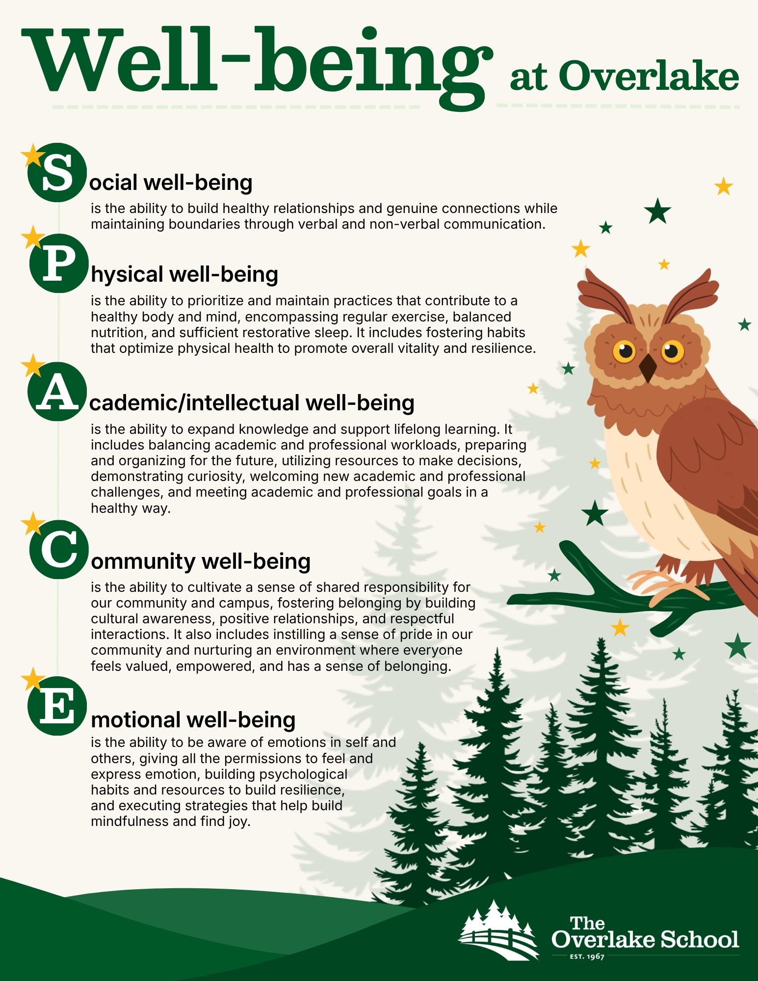 Well-Being at Overlake SPACE Poster