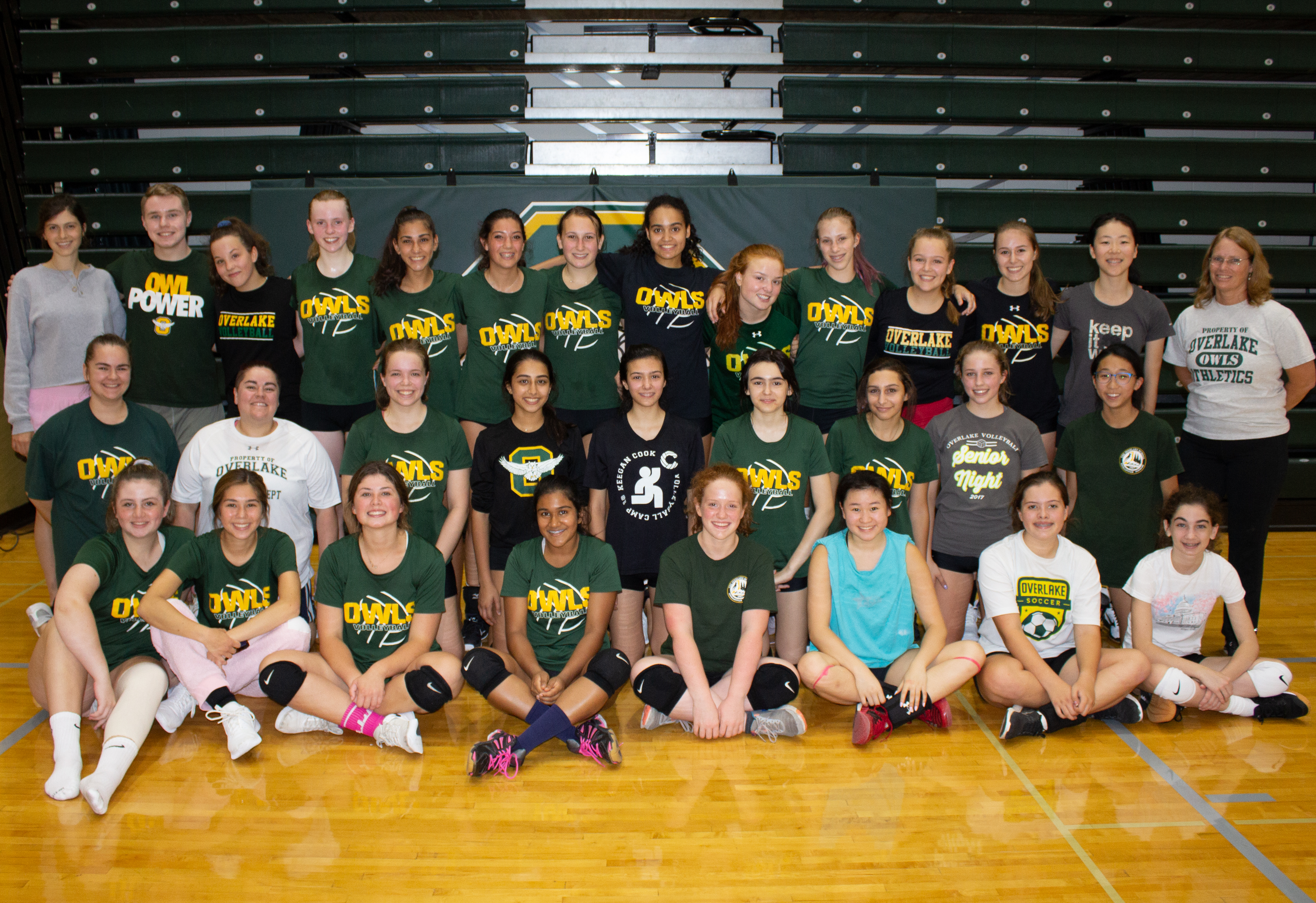 2018 Volleyball