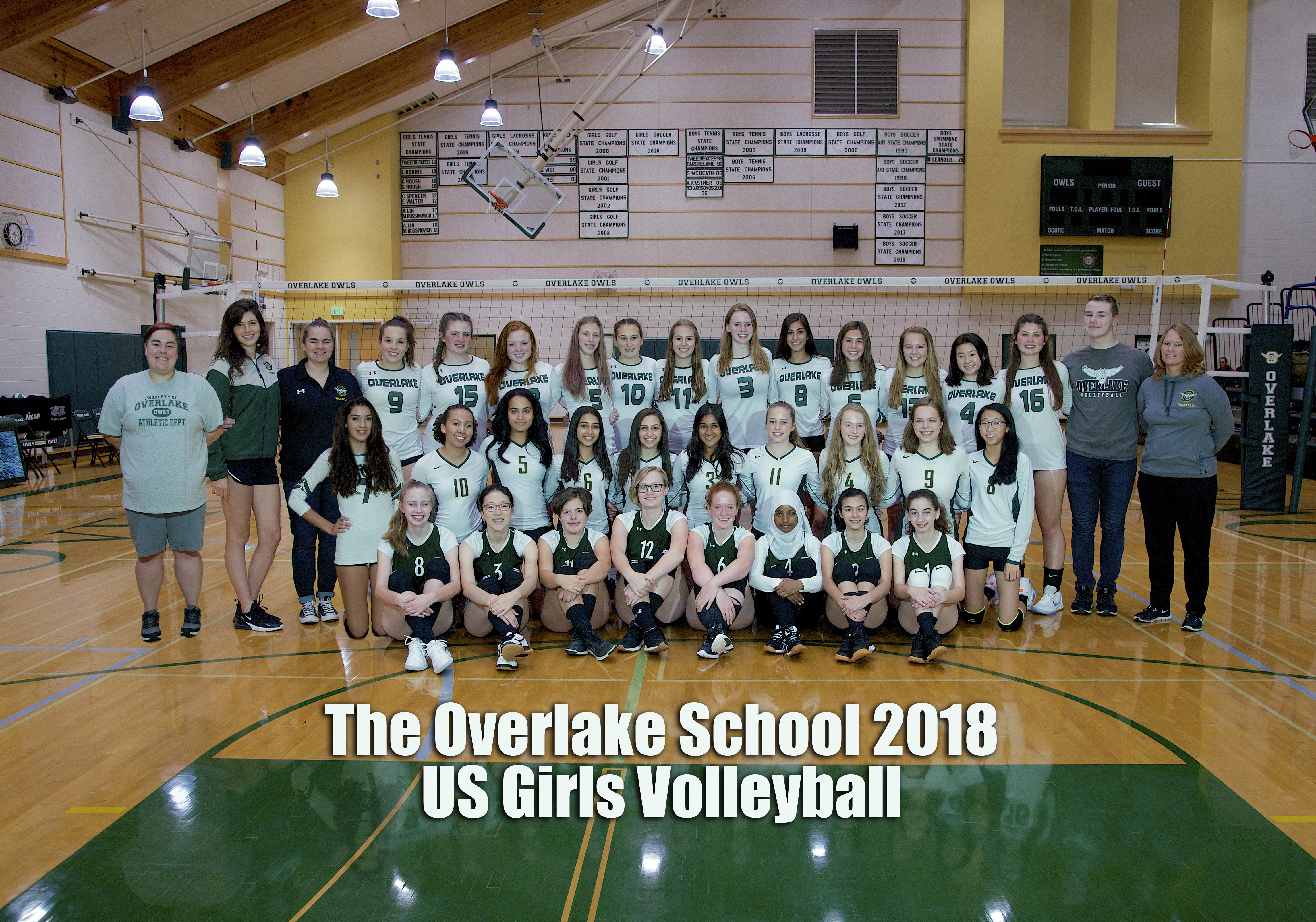 US Volleyball Program