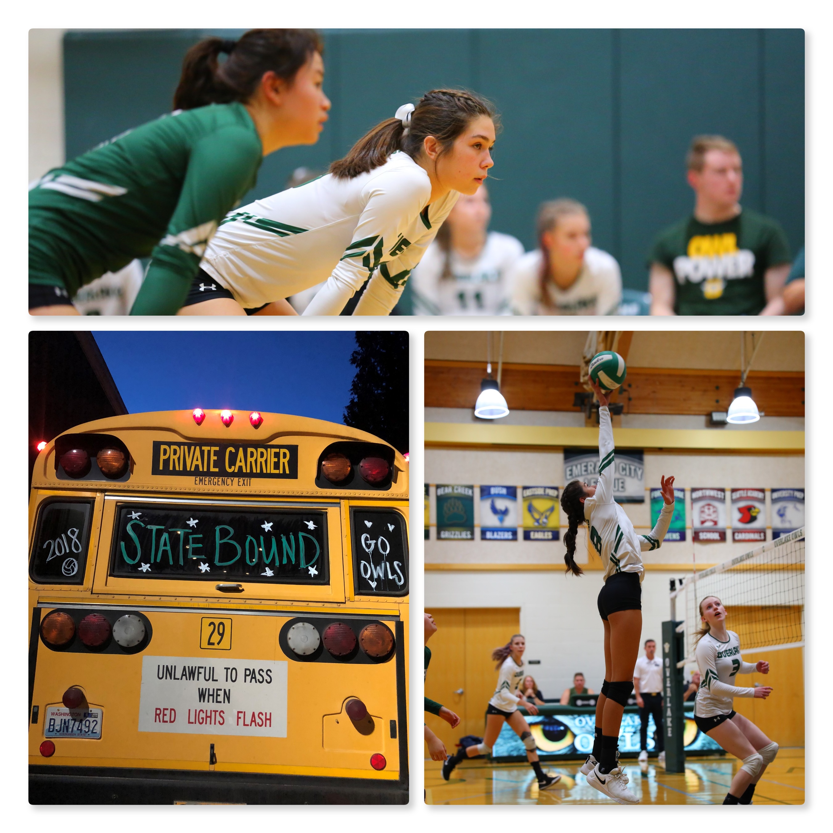volleyball 2018