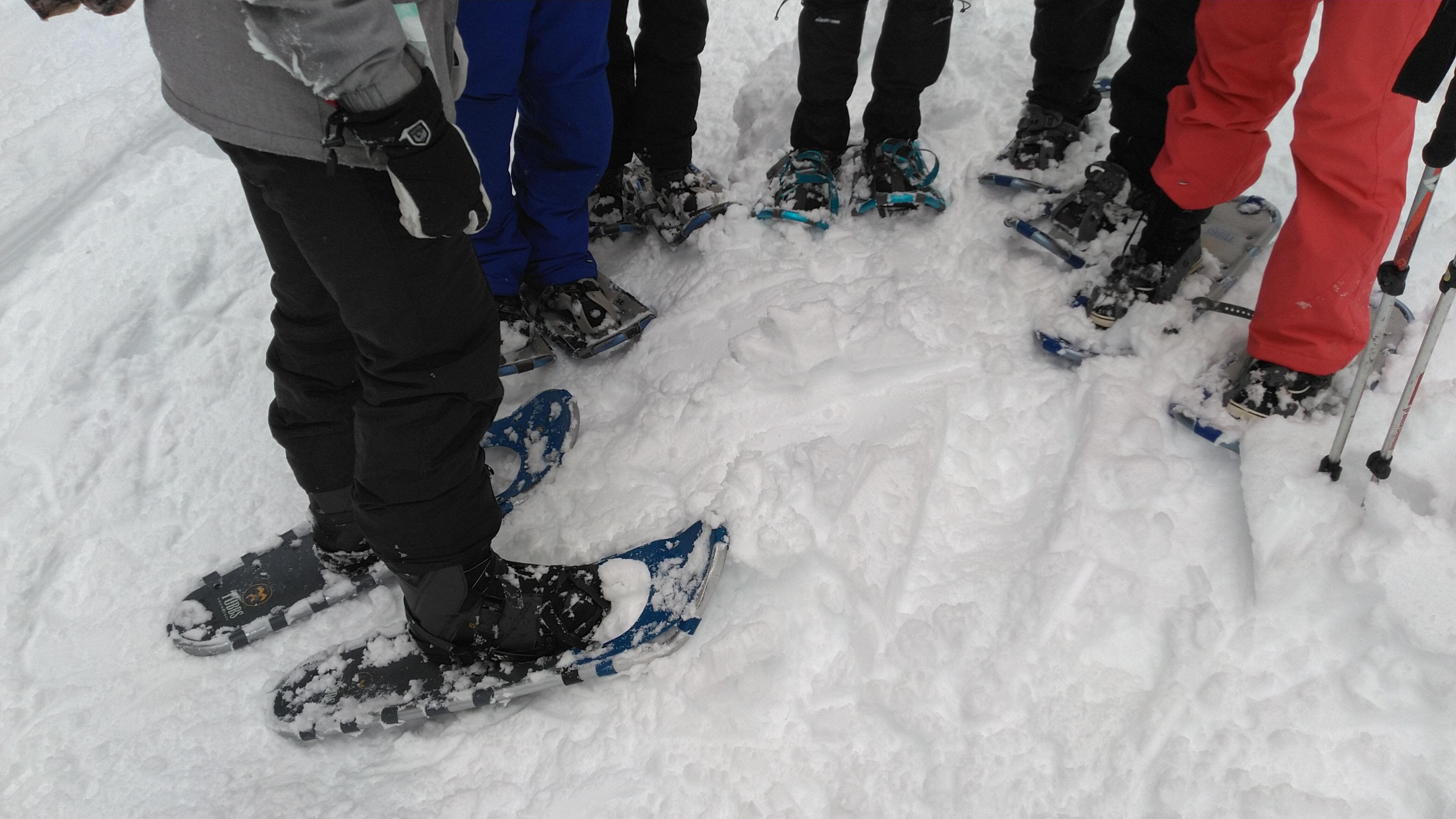 Snowshoeing