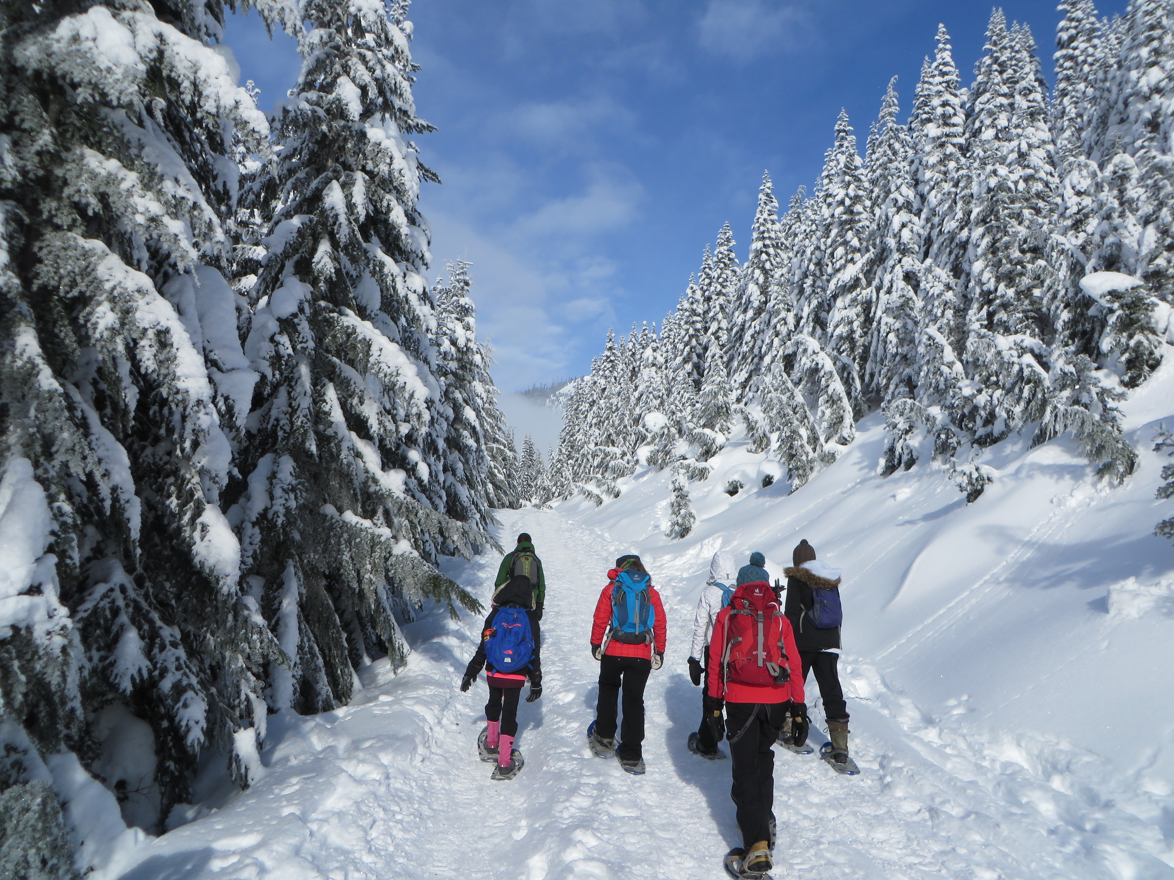MS Snowshoeing