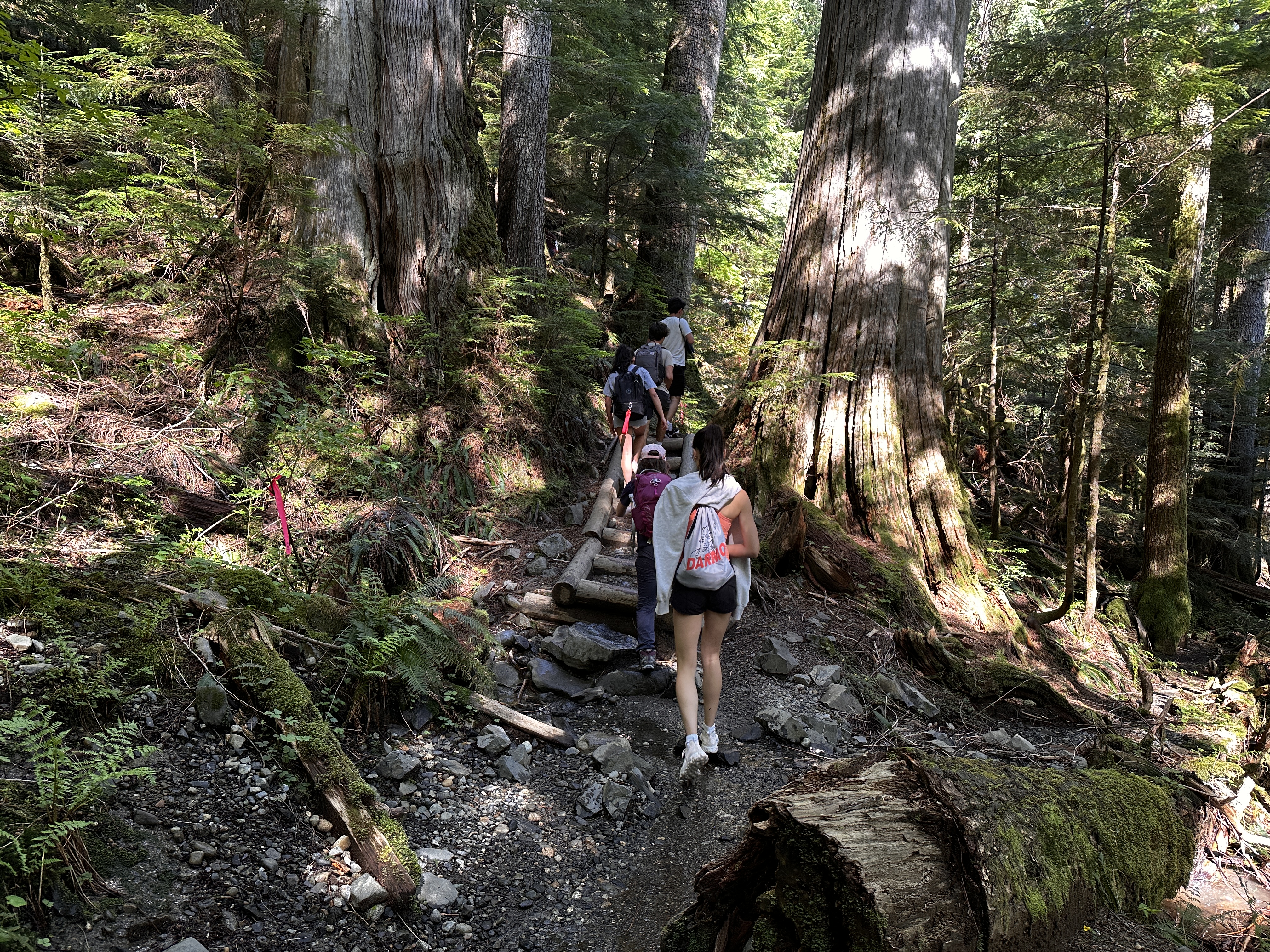Hiking