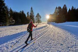 cross country ski