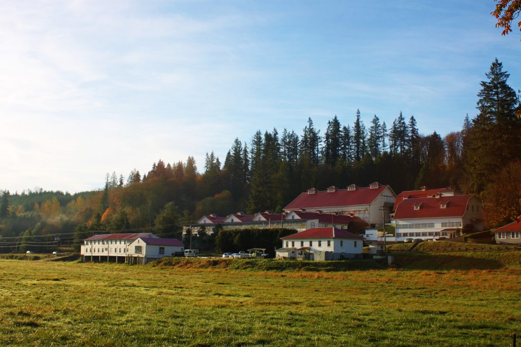 Carnation Farm