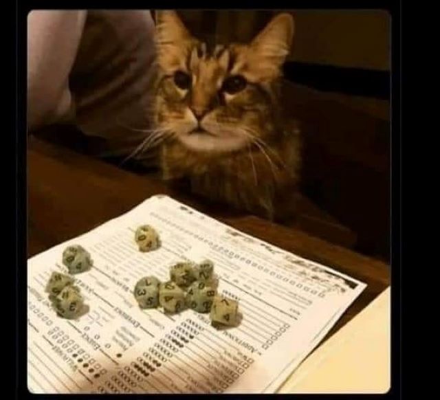 Cat playing DnD