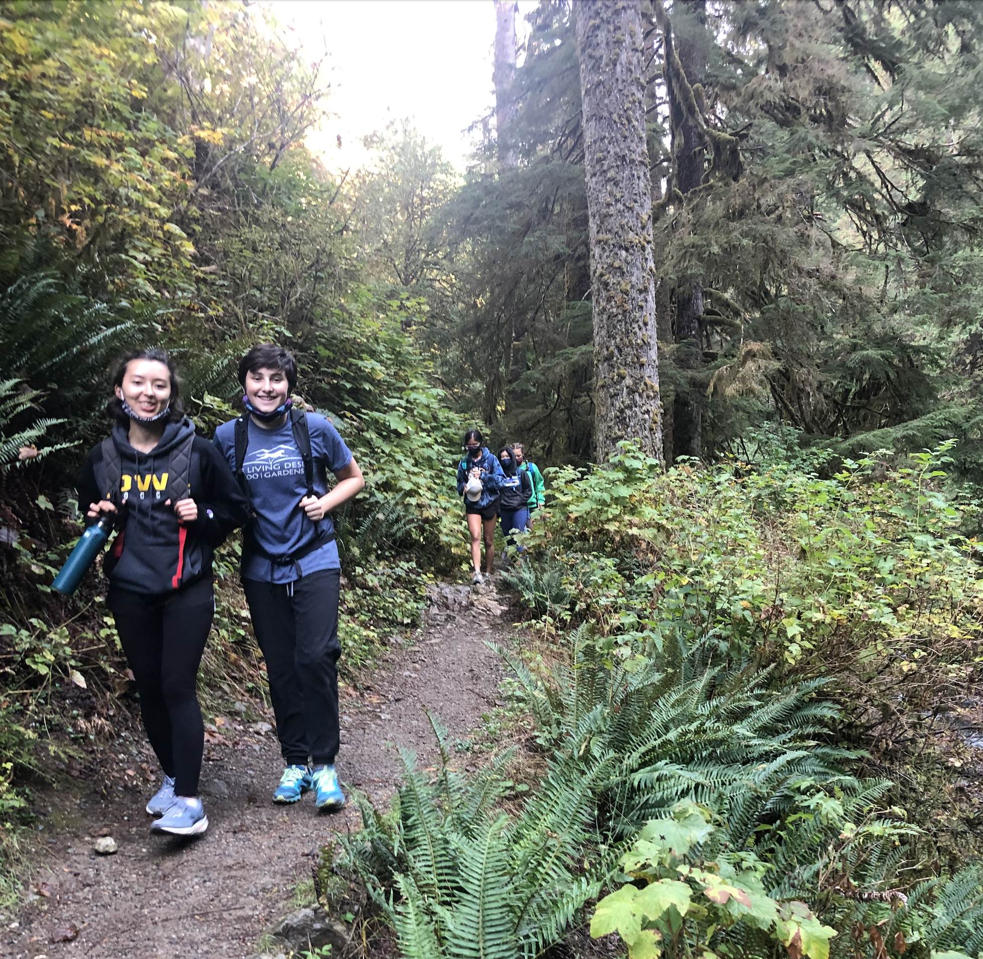 Hiking
