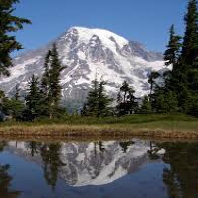 Mt. Rainier