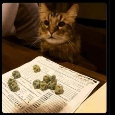 Cat playing DnD