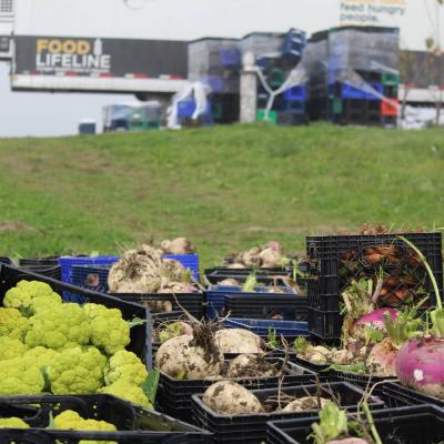 food farm frenzy