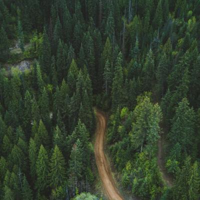 DIRT ROAD