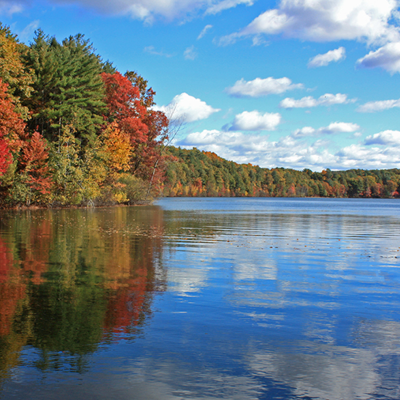 Walden Pond