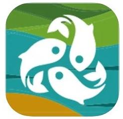 treefish app logo