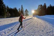 cross country ski