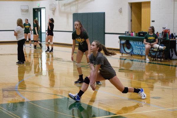 volleyball