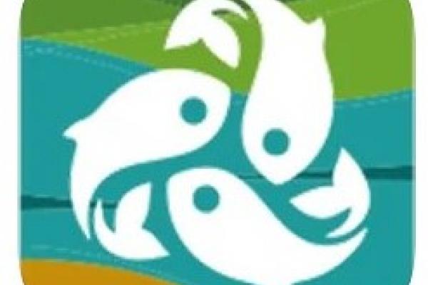 treefish app logo