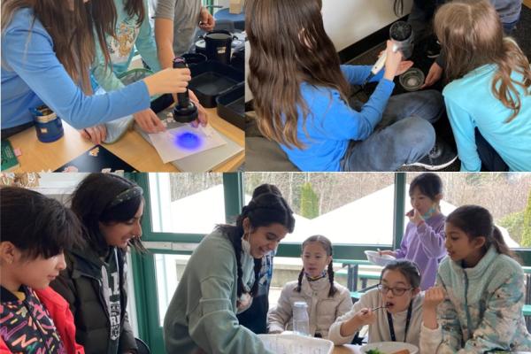 Students using a blacklight, melting ice, and digging in mud