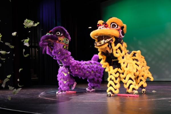 Lion Dance